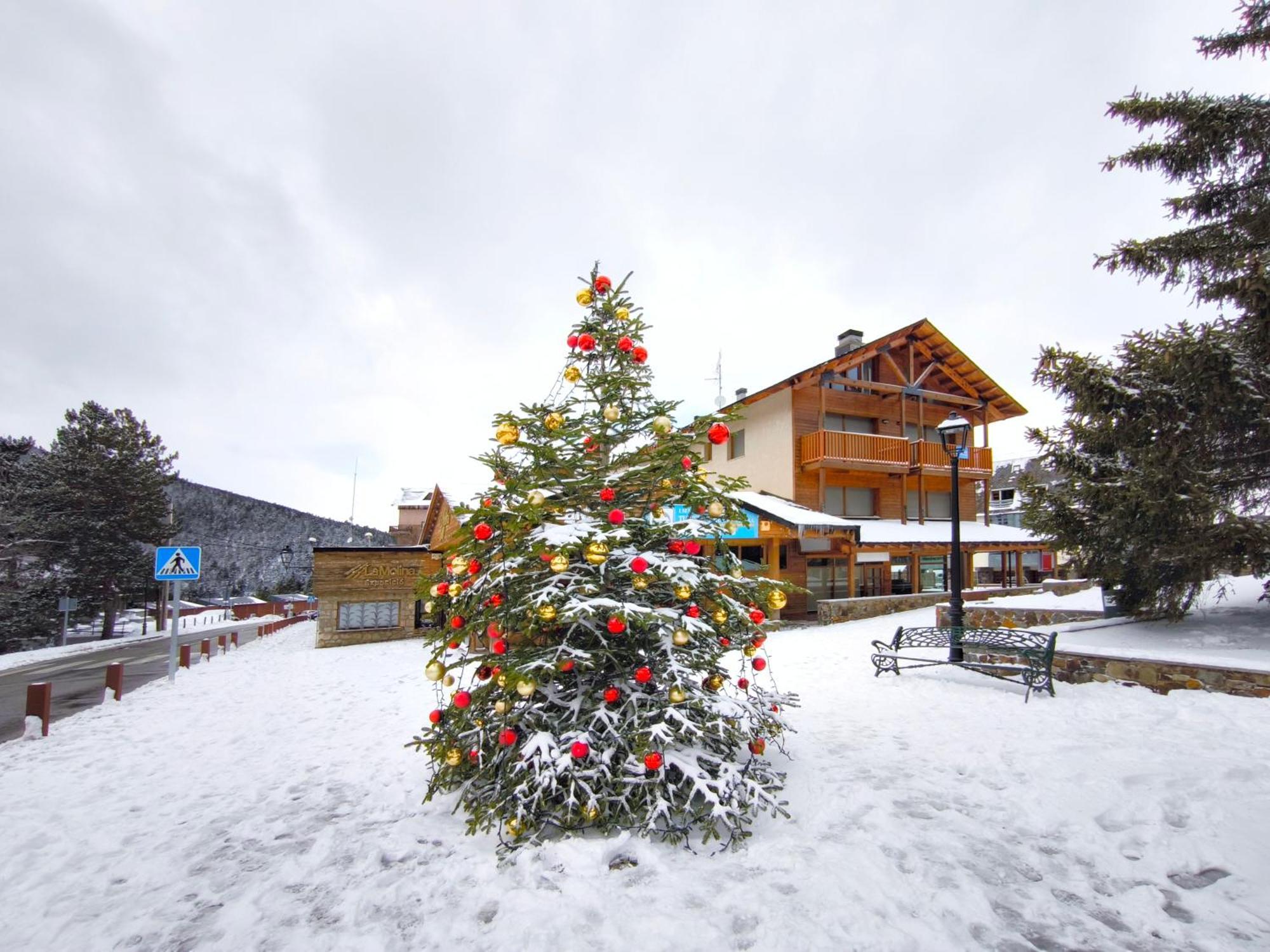 Ferienwohnung A Pie De Pistas De La Molina, La Mejor Ubicacion La Molina  Exterior foto